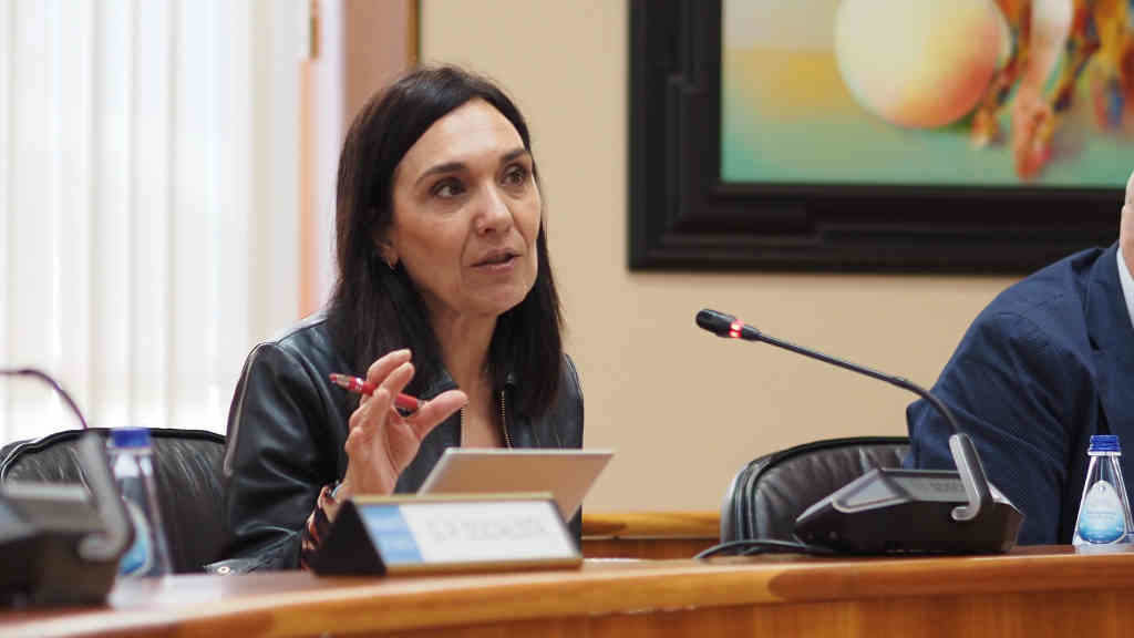 A portavoz de Política Forestal do PSdeG, Carmen Rodríguez Dacosta (Foto: Nós Diario).