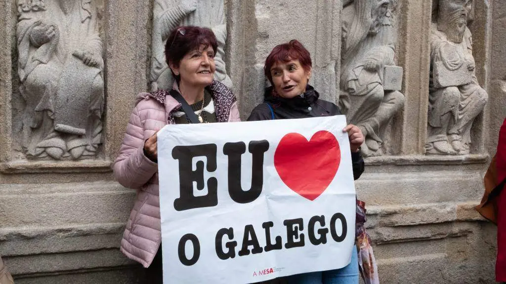 Manifestaci&oacute;n en Compostela convocada por Queremos Galego. (Foto: C&eacute;sar Arxina / Europa Press)