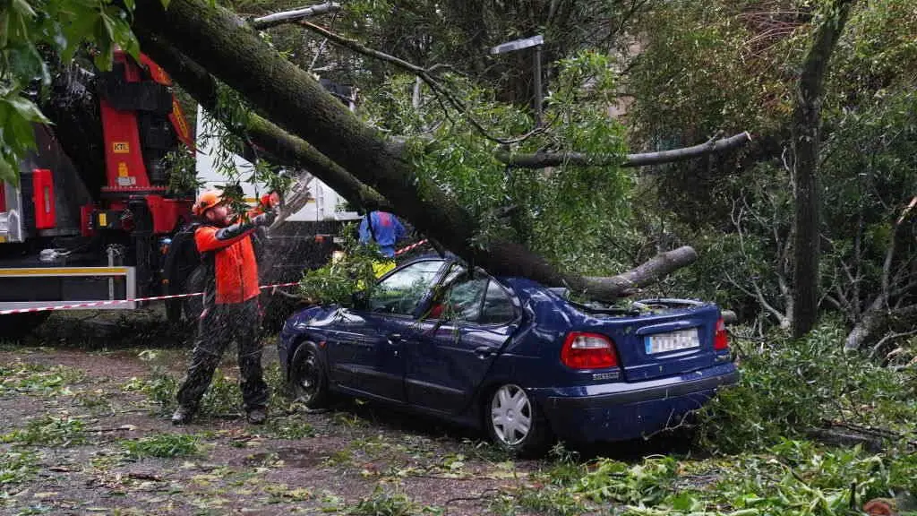 A ca&iacute;da de &aacute;rbores provocou danos materiais no Campus Sur da USC. (Foto: &Aacute;lvaro Ballesteros / Europa Press)