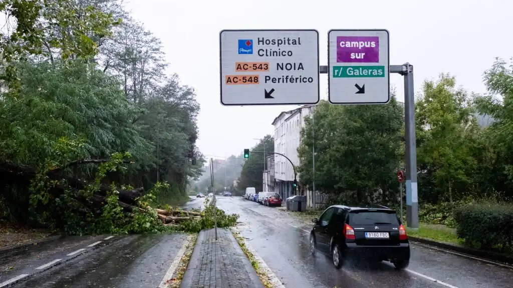 A ca&iacute;da de p&oacute;las e &aacute;rbores complicaron o tr&aacute;fico en varios puntos da Galiza. (Foto: Arxina)