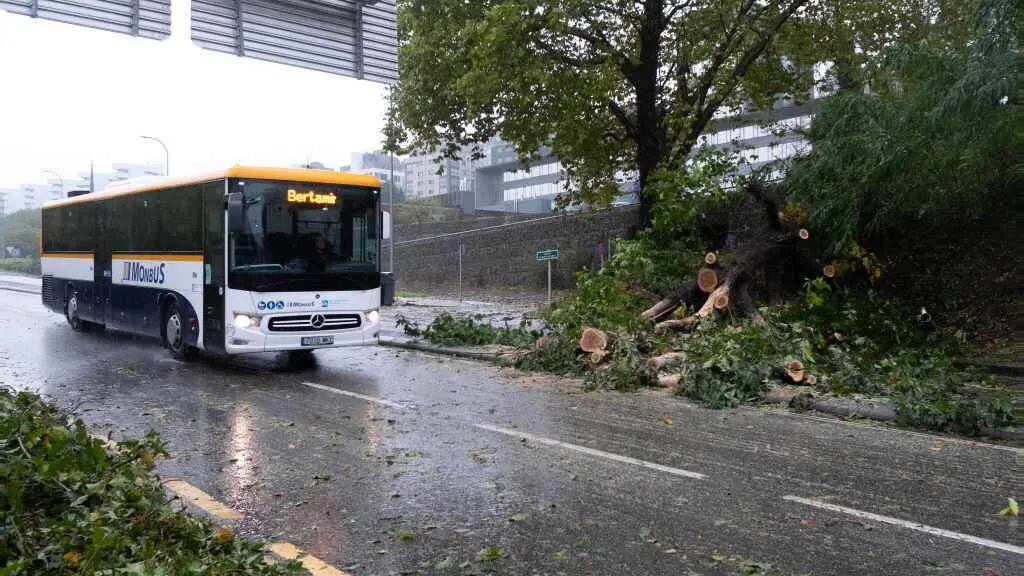 A retirada de p&oacute;las e &aacute;rbores ca&iacute;das foi un traballo recorrente para bombeiros e operarios municiais tras o paso de 'Kirk'. (Foto: Arxina)