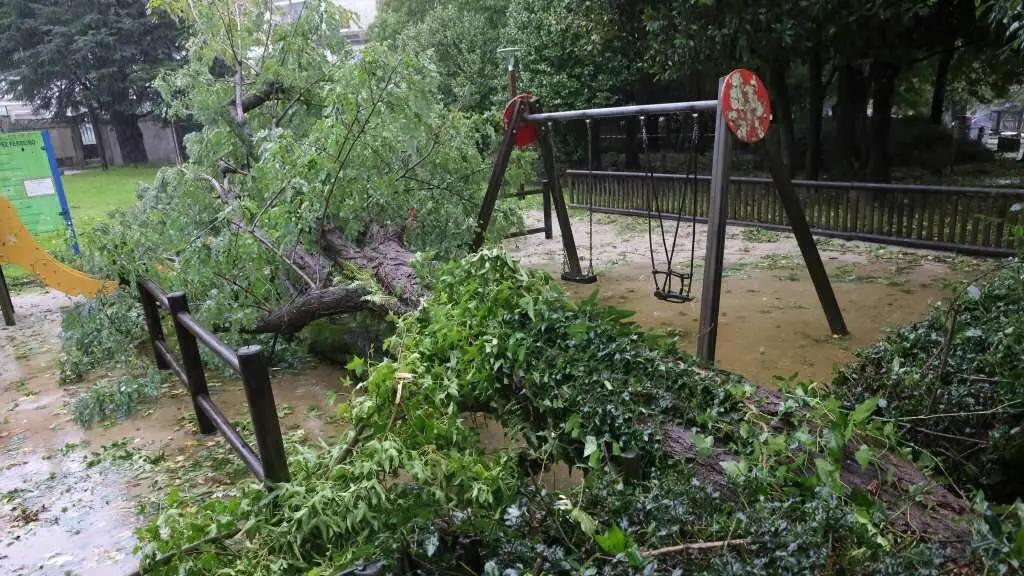 &Aacute;rbore ca&iacute;da no parque infantil L&oacute;pez Ferreiro de Compostela. (Foto: Arxina)