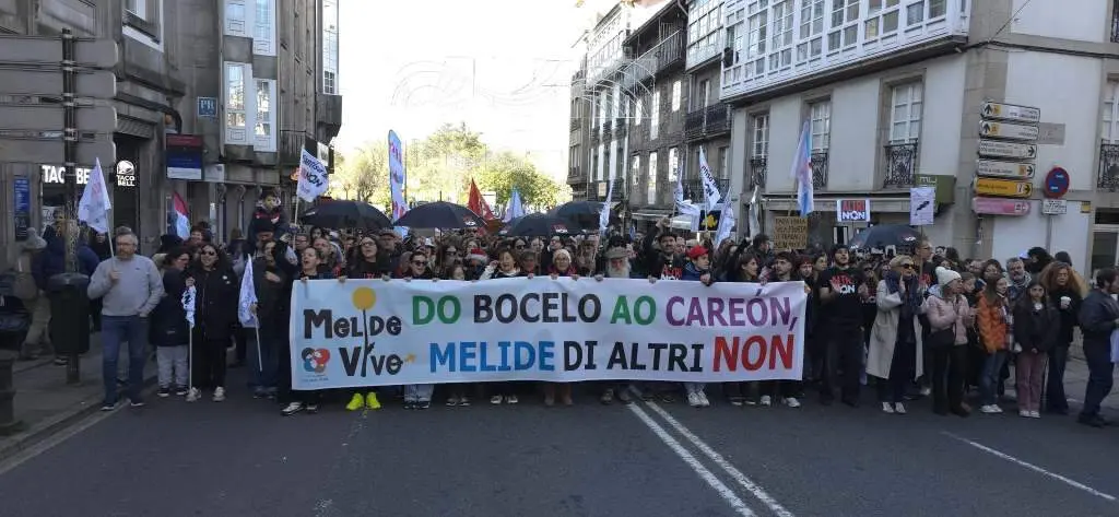 Manifestaci&oacute;n contra Altri en Santiago de Compostela. (Foto: Sergio Figueira)