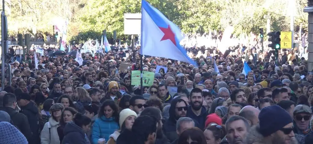 Manifestaci&oacute;n contra Altri en Santiago de Compostela. (Foto: Sergio Figueira)