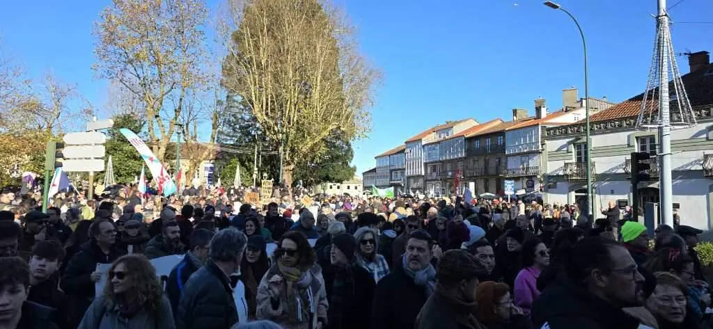 Manifestaci&oacute;n contra Altri en Santiago de Compostela. (Foto: Sergio Figueira)