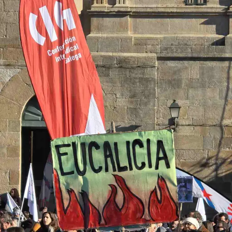 Manifestaci&oacute;n contra Altri en Santiago de Compostela. (Foto: Sergio Figueira)
