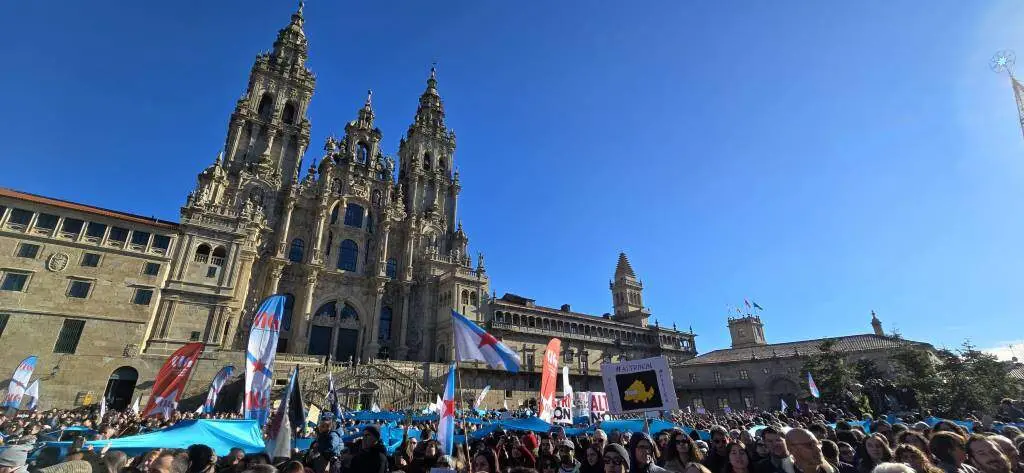 Manifestaci&oacute;n contra Altri en Santiago de Compostela. (Foto: Sergio Figueira)