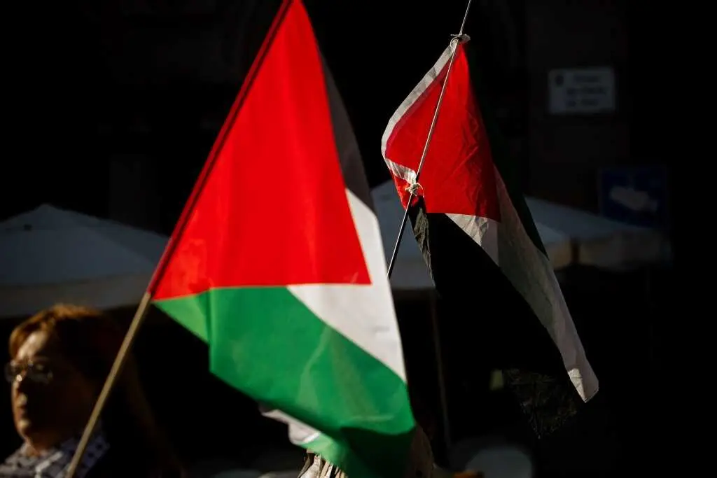 Mobilizaci&oacute;n en Vigo en solidariedade co pobo palestino. (Foto: Adri&aacute;n Irago / Europa Press)