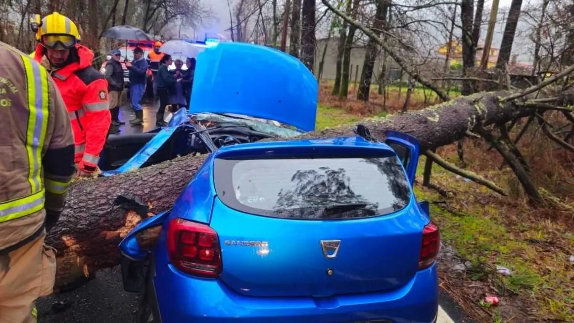 EuropaPress_7284183_herida_leve_joven_20_anos_caer_coche_arbol_3000_kilos_caldas