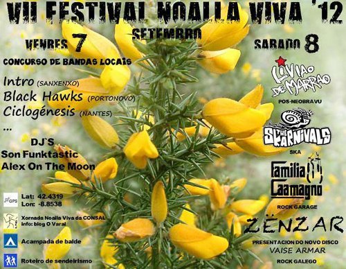 VII Festival Noalla Viva 2012