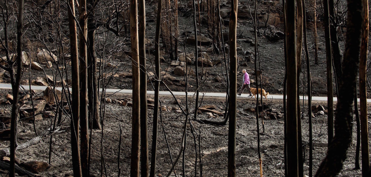 GRAF1209. MELÓN (OURENSE), 18/10/2017.- Galicia trata de recuperar la normalidad y comienza a hacer balance del trágico fin de semana en el que los incendios forestales han acabado con la vida de cuatro personas y devastado en torno a 12.000 hectáreas de superficie, muchas de ellas zonas de alto valor ecológico. En la imagen, un hombre pasea con sus perros por la zona calcinada en el incendio de Moces (Melón). EFE/ Brais Lorenzo