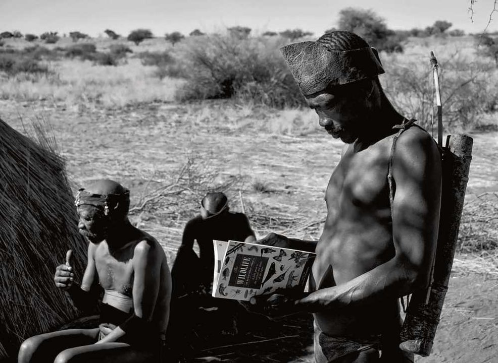 Un membro da tribo dos Himba, en Namibia, lendo unha guía da vida salvaxe. / Foto: Xurxo Mariño