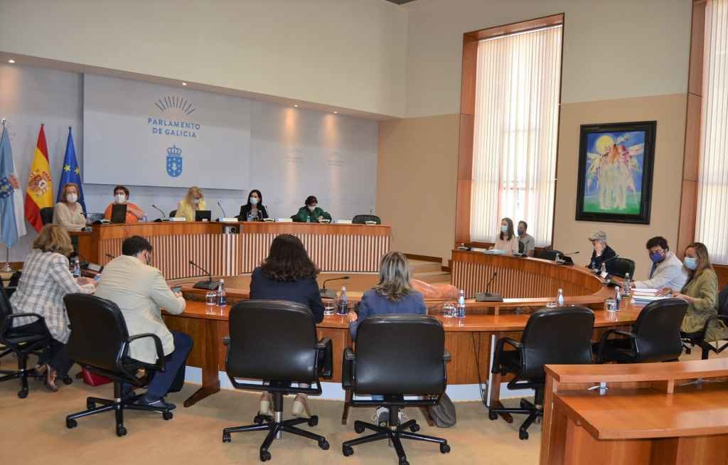 A Cámara analizou os estudos de violencia machista da Xunta (Foto: Parlamento galego)