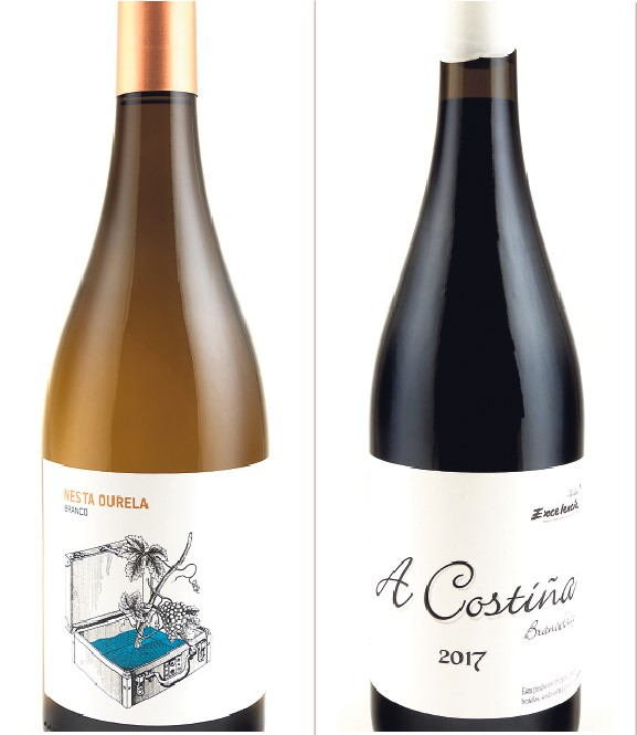 Botellas dos viños 'Nesta Ourela' e 'A Costiña'. (Foto: Vide Vide)