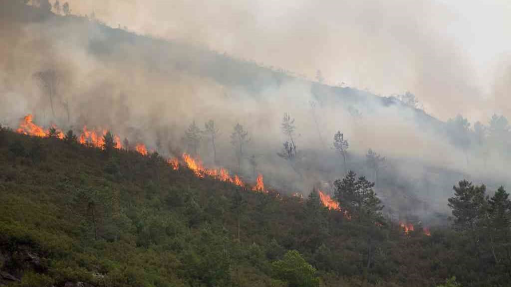 Incendio en Folgoso do Courel (Foto: Carlos Castro / Europa Press).