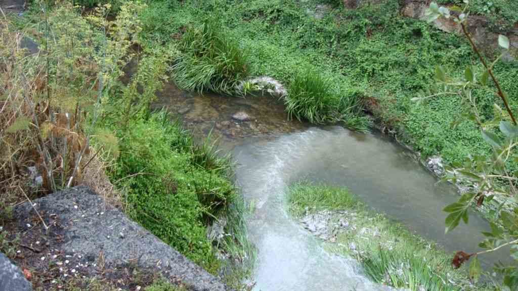 Imaxe dunha zona do río Barbaña. (Foto Amigos da Terra)
#sancibraodasviñas #vertedura #río #barbaña #contaminación #chms #miñosil