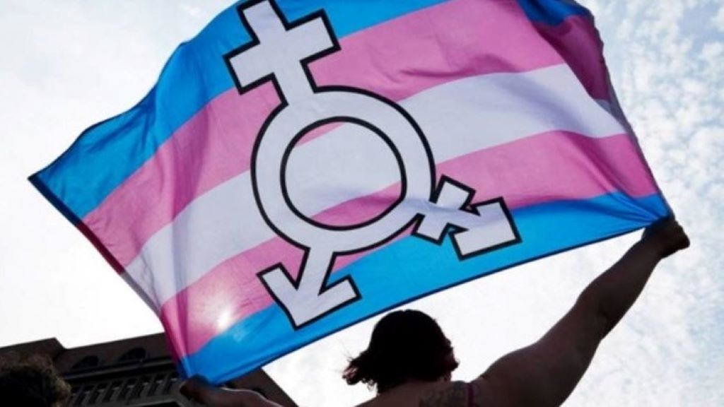 Imaxe da bandeira transexual. (Foto: Europa Press)