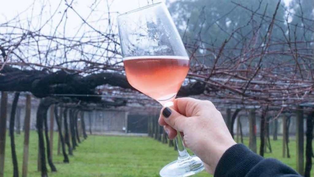 Viño rosado elaborado coa variedade caíño tinto. (Foto: Arquivo VIDE VIDE)