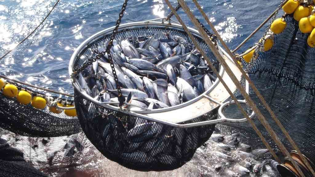 A redución ou mesmo a supresión do IVE para os produtos pesqueiros é unha vella demanda dos pescadores galegos (Foto: OPAGAC).