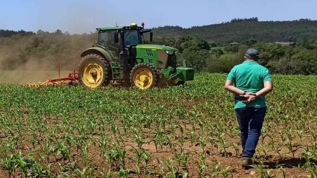 A climatoloxía e a dispoñibilidade de auga condicionan os agricultores á hora de optar pola produción de millo para pensos (Foto: Xunta da Galiza).