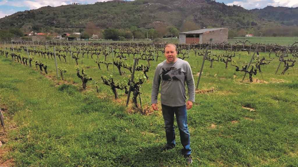José Fernández, técnico agrícola, responsabilízase dos procesos de elaboración do viño.
