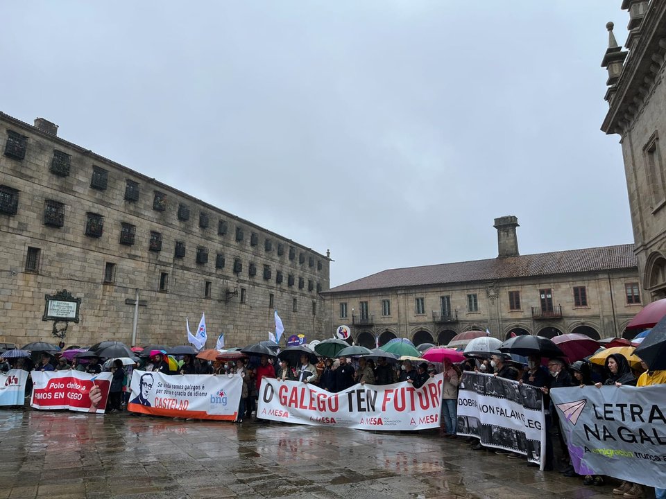 Manifestación polo Día das Letras Galegas. (Foto: Nós Diario)