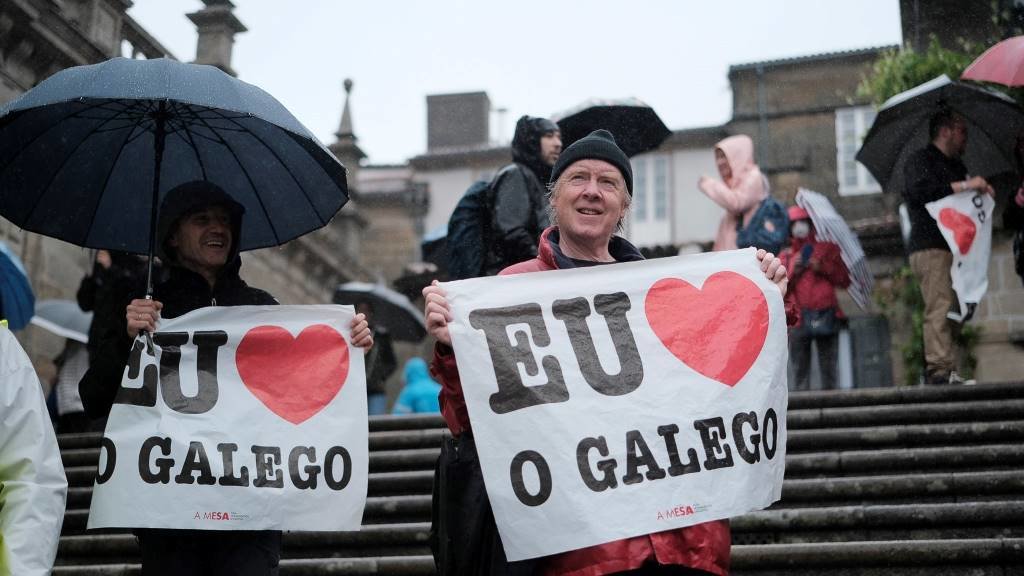 Milleiros de persoas participaron na manifestación convocada por Queremos Galego con motivo do Día das Letras. (Foto: Arxina)