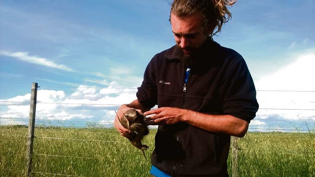 Pedro Romero Vidal sostén un piche patagónico (Zaedyus pichiy) coñecido tamén como armadillo da Patagonia (Arxentina). (Foto: Nós Diario)