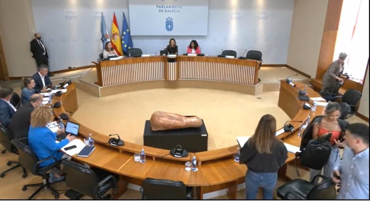 Os deputados do BNG e PSdeG abandonan a sesión da comisión. (Foto: Xunta da Galiza)