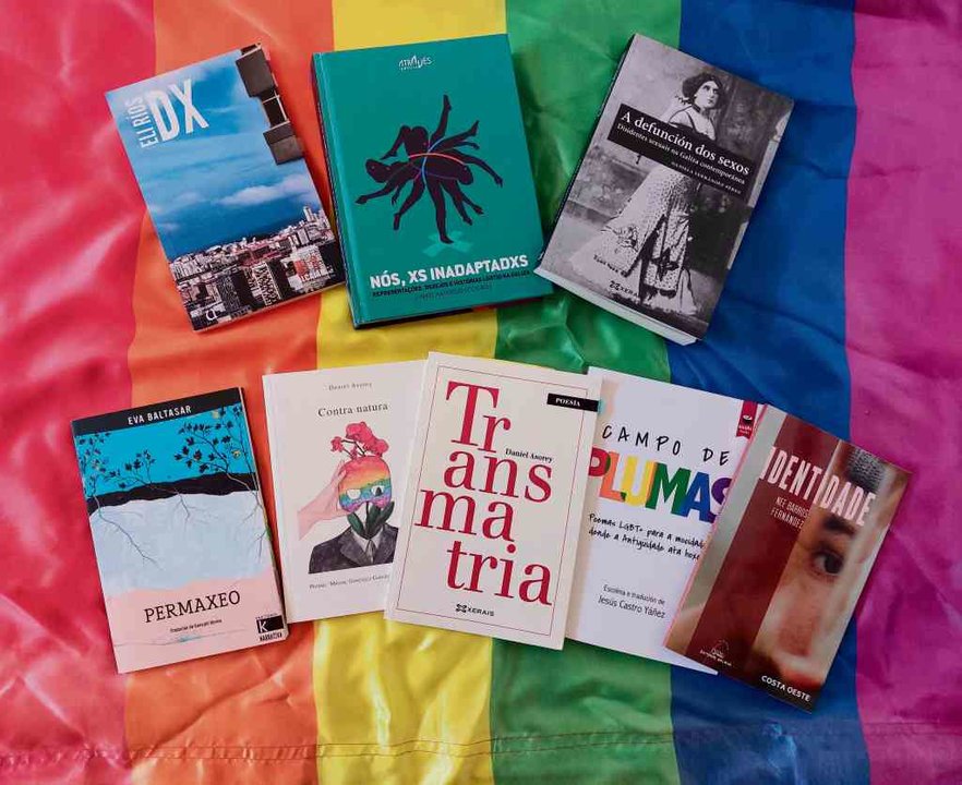 Algúns dos libros máis recentes que se publicaron nos diversos xéneros arredor de temáticas LGBTIQ+.