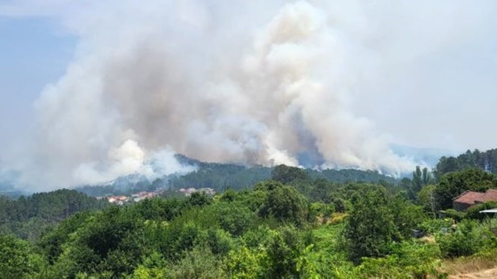 O lume de Ribadavia segue activo e xa calcinou máis de 50 hectáreas. (Foto: @incendiosgalici1 / Twitter)