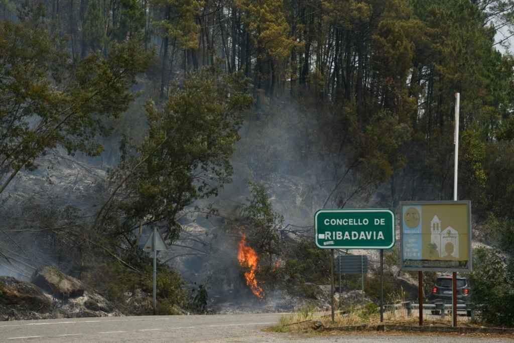 Incendio de Ribadavia. (Foto: Europa Press)