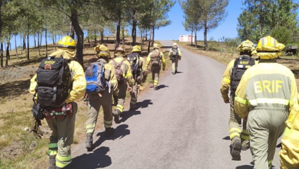 Brigadistas desprazándose este sábado ao incendio de Arbo, na Paradanta (Foto: BrifLaza)