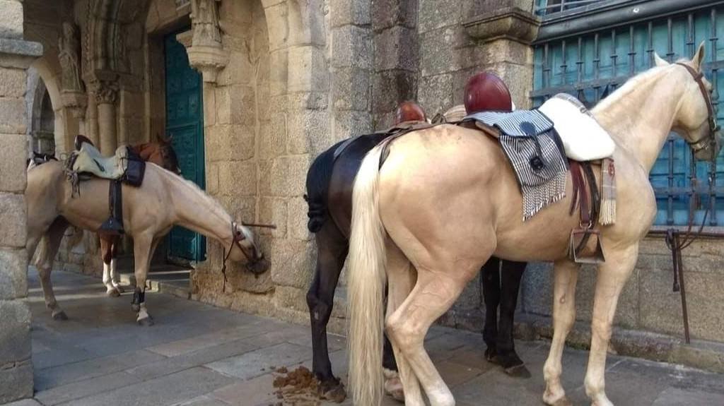 Cabalos diante da Igrexa de Salomé. (Foto: @seriologa / Twitter)