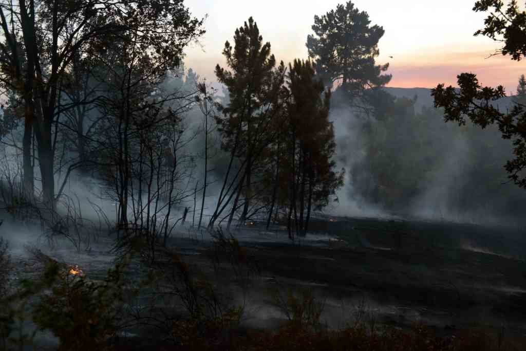Monte afectado polo incendio de Verín. (Foto: Europa Press)