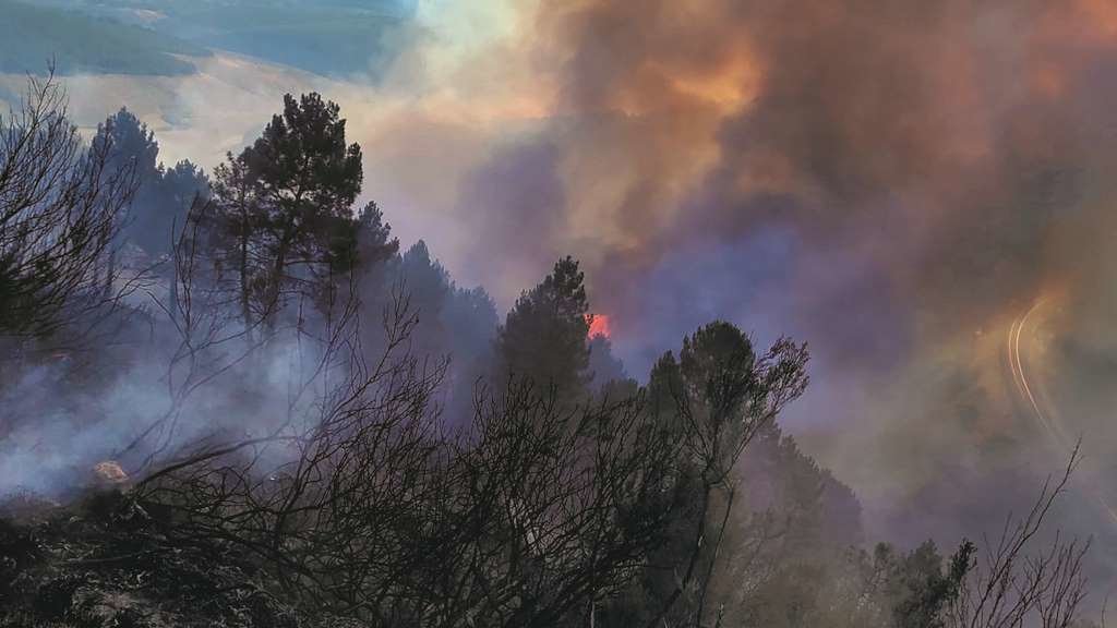 As chamas arrasaron montes en man común de Campobecerros, en Castrelo do Val, na comarca de Verín. (Foto: Nós Diario)