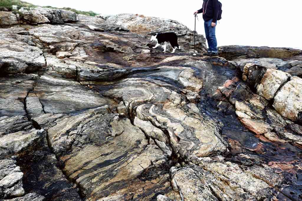 Punta do Campelo. Destaca a presenza nas rochas de dobras nunha serie metamórfica de xistos, neises e migmatitas.