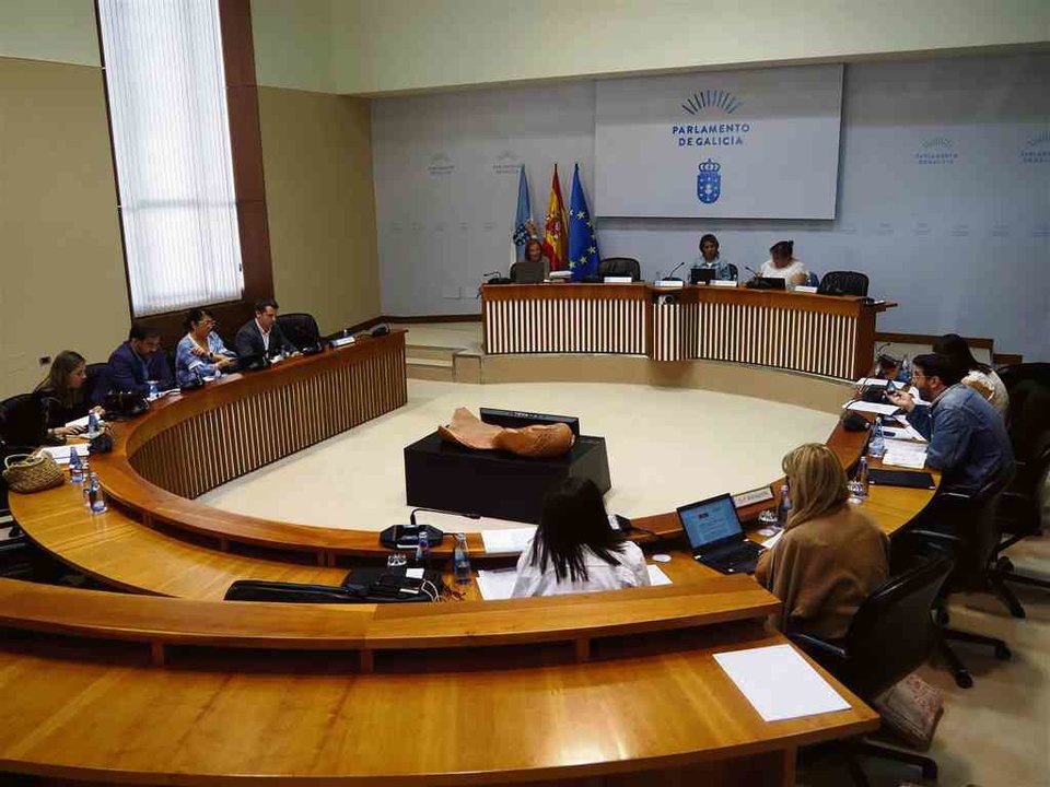 A comisión de Sanidade de onte no Parlamento da Galiza. (Foto: Parlamento da Galiza)
