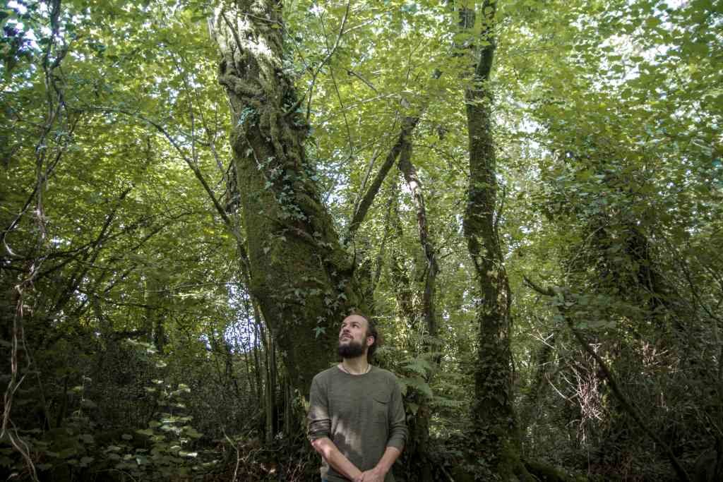 Abe Rábade emprega a metáfora do bosque para crear a música de 'Botánica'.