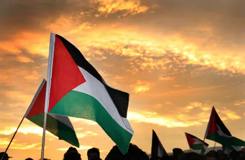 Bandeiras de Palestina nunha manifestaci&oacute;n