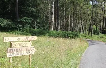 Corcoesto