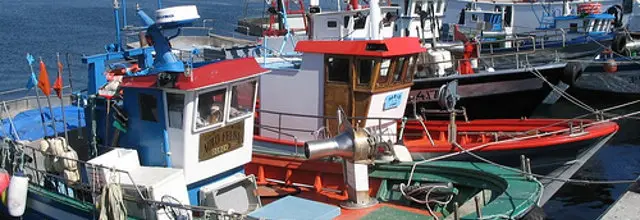 Flota baixura pesca