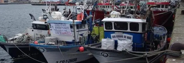barcos cerco pesca