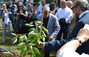 Xabier P. Docampo plantando a cerdeira