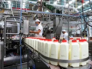 Cadea de envasado do leite