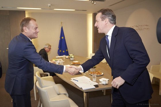 Tusk e Cameron no Consello Europeo
