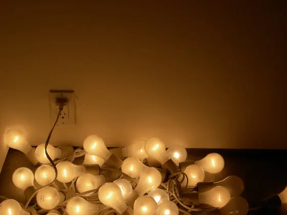 LUZ