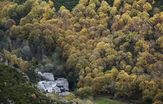 O courel fragas bosque paisaxe rural