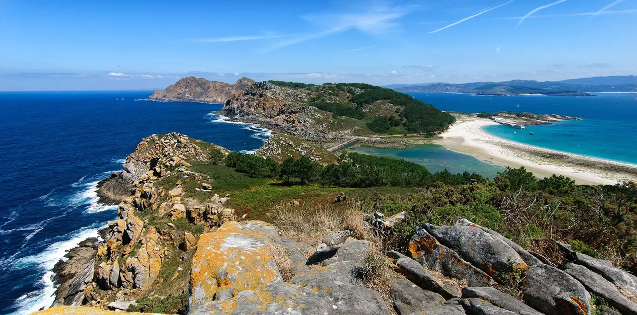 cies