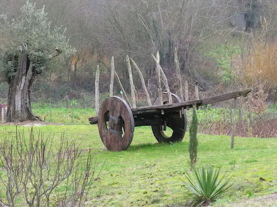Carro do pa&iacute;s